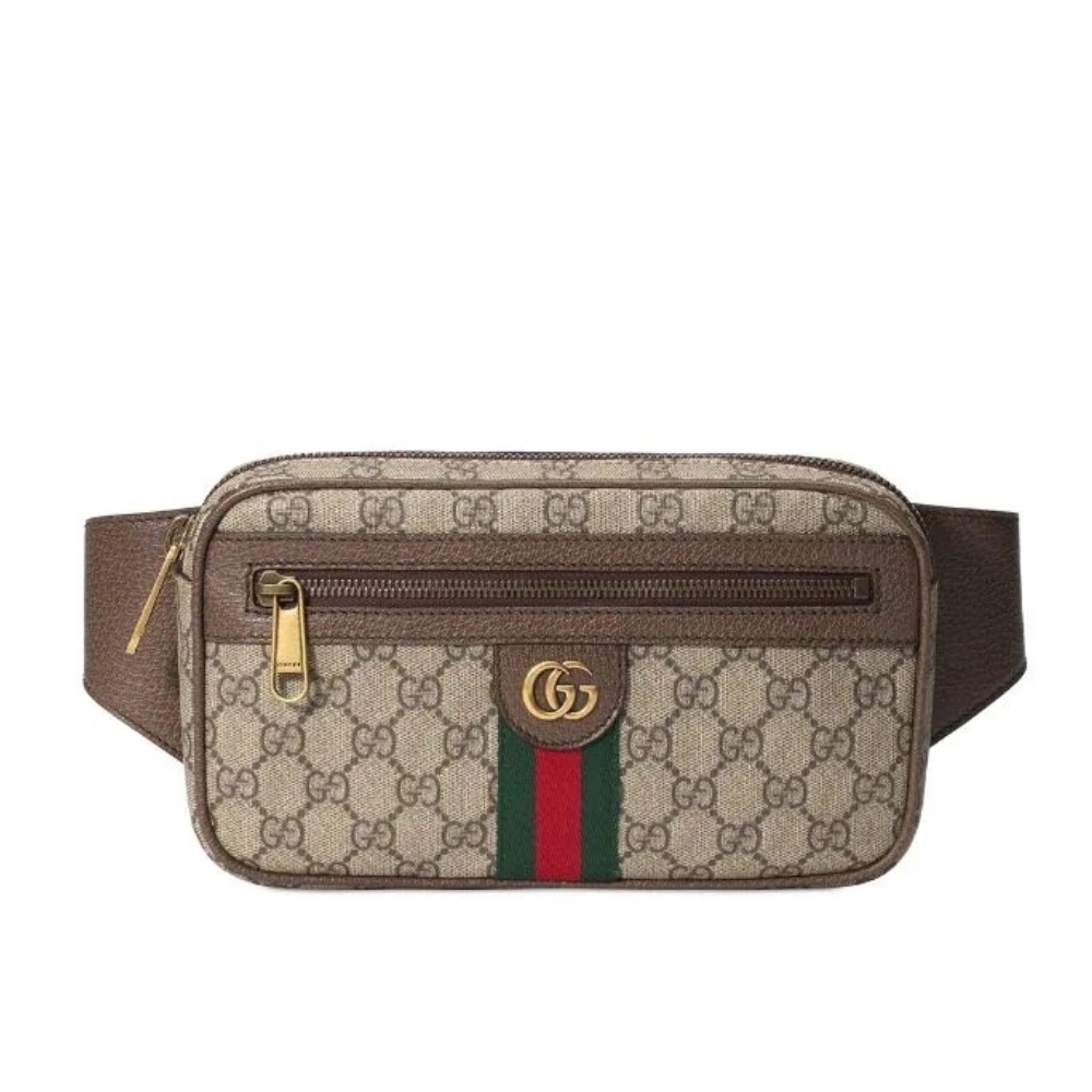 Gucci GG Ophidia Belt Brown Bag 24Cm 574796 97SIT 8747