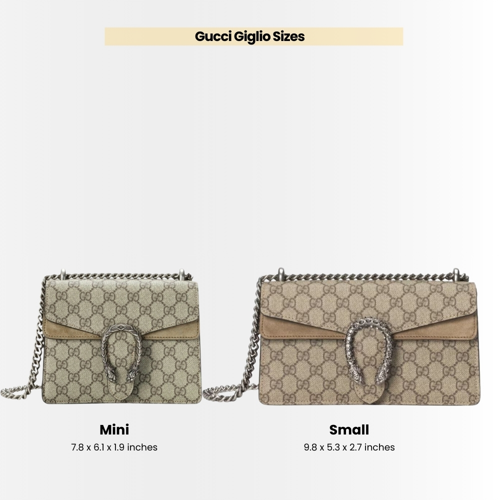 Gucci Dionysus Small Shoulder Beige Bag 25Cm 499623 92TJN 8660 - Image 13